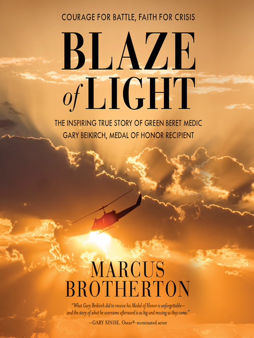 Cover image for Blaze of Light
